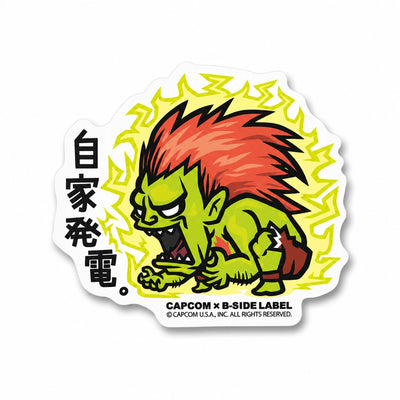 Street Fighter stickers Dhalsim, Ryu, Ken, Blanka, Guile on RetroPixl.com for retro gaming collectors, retrogaming players and anime collectibles and gadgets